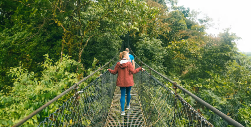 Arenal Hanging Bridges